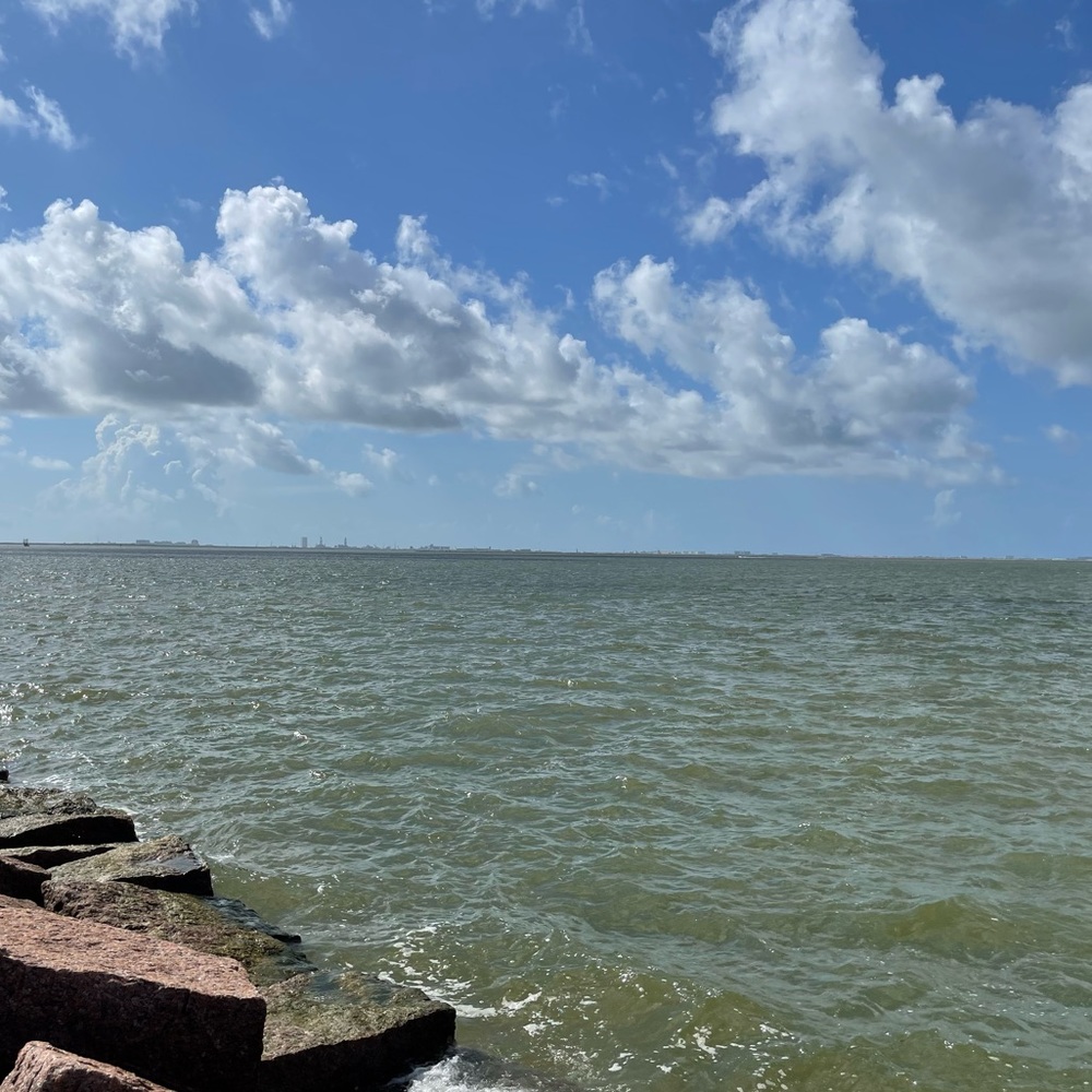 Meet your Posher, Emmett